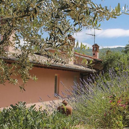 Tuscany Roses Arezzo Zewnętrze zdjęcie