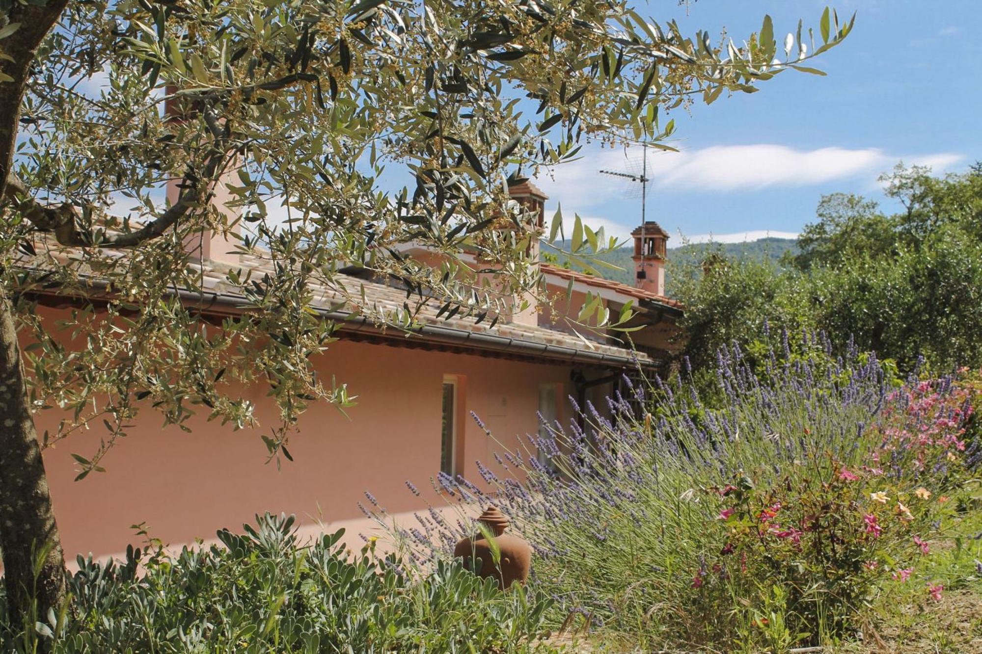 Tuscany Roses Arezzo Zewnętrze zdjęcie