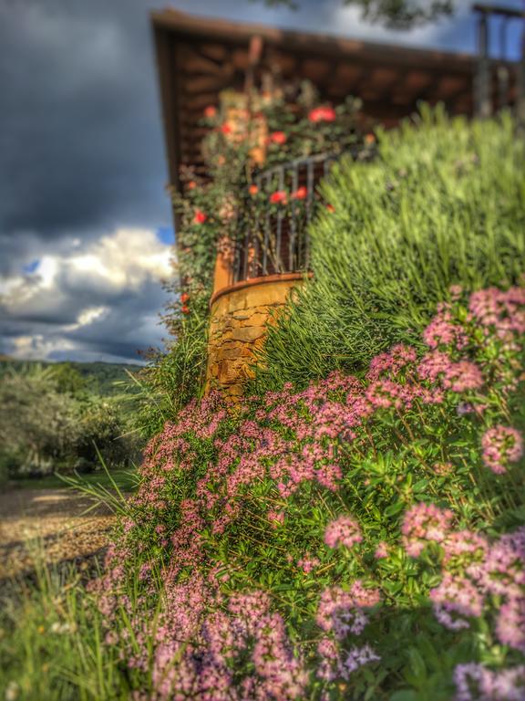 Tuscany Roses Arezzo Zewnętrze zdjęcie